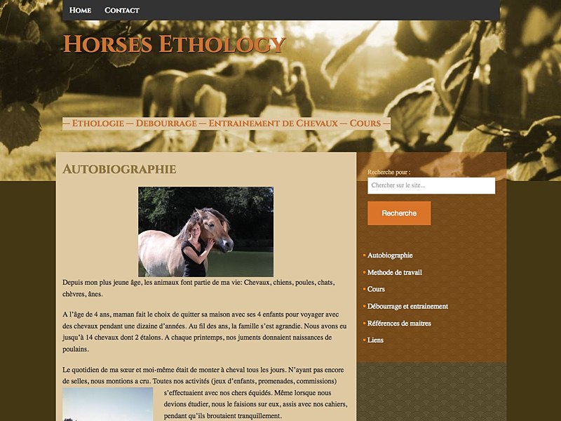 website voor eenmanszaak