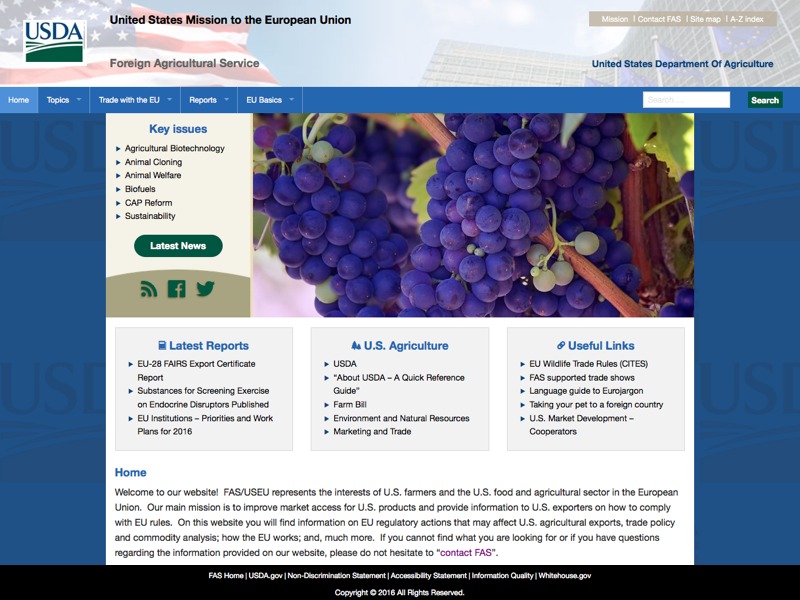 website theme internationaal